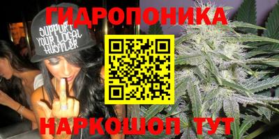 альфа пвп Кизляр