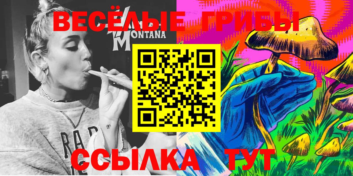 Галлюциногенные грибы мицелий Артём
